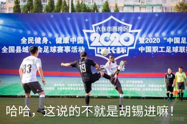 哈哈，这说的不就是胡锡进嘛！