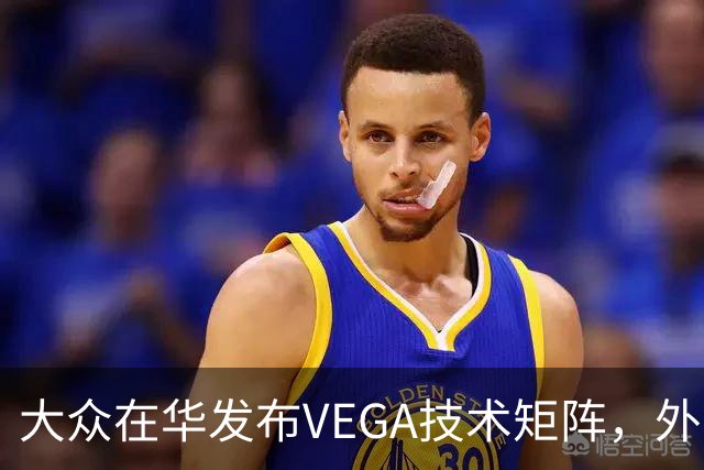 大众在华发布VEGA技术矩阵，外资车企里独一份