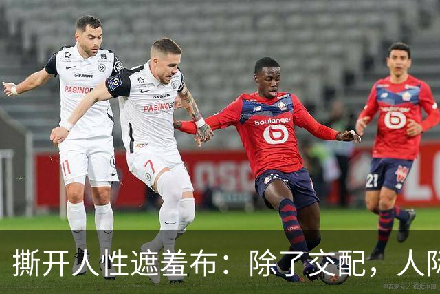撕开人性遮羞布：除了交配，人际关系全是交易