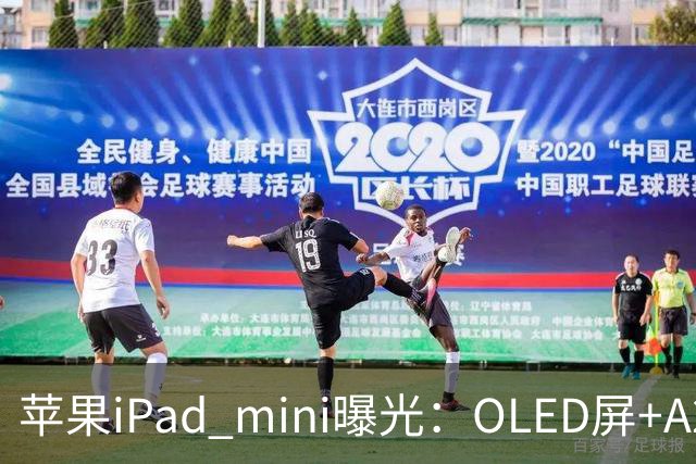 苹果iPad mini曝光：OLED屏+A20芯，售价或涨至799美元
